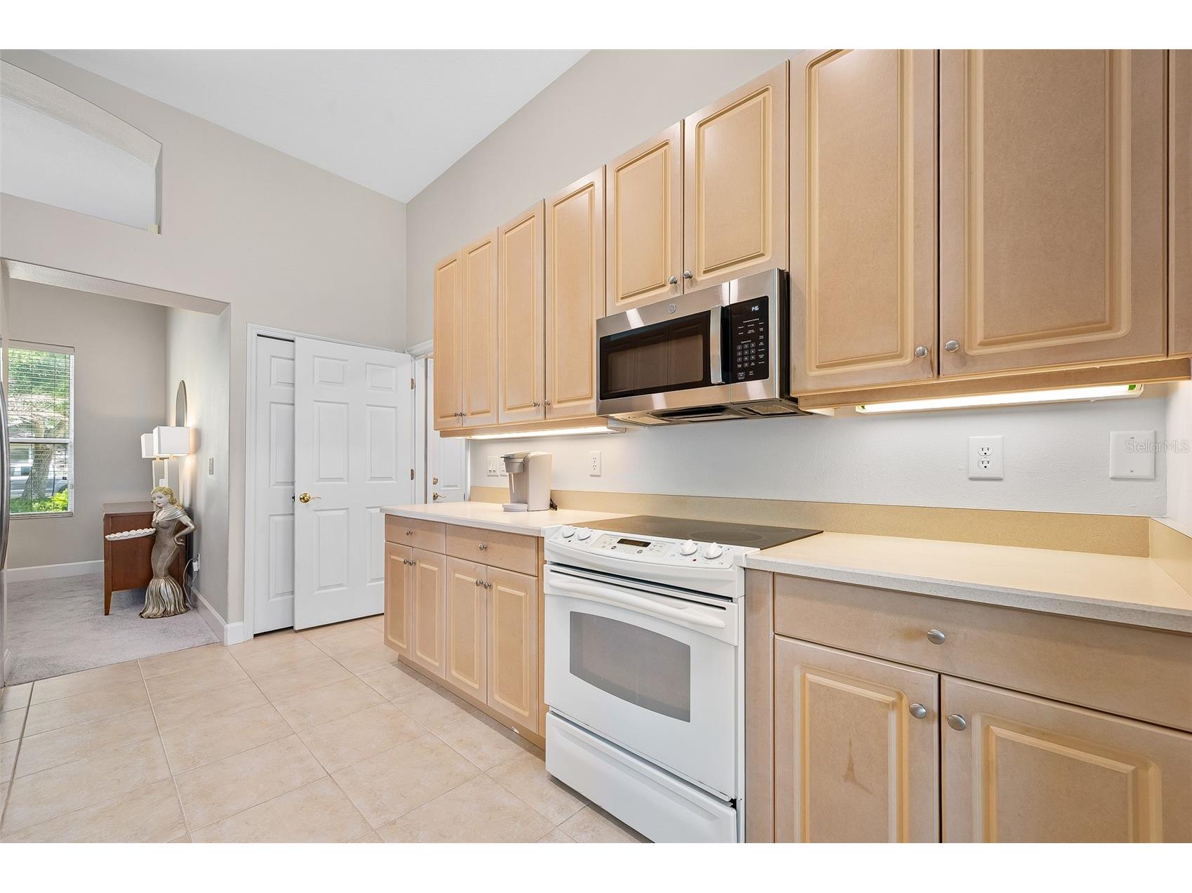 120 Black Hickory Way Ormond Beach FL 32174 V4948300 image21