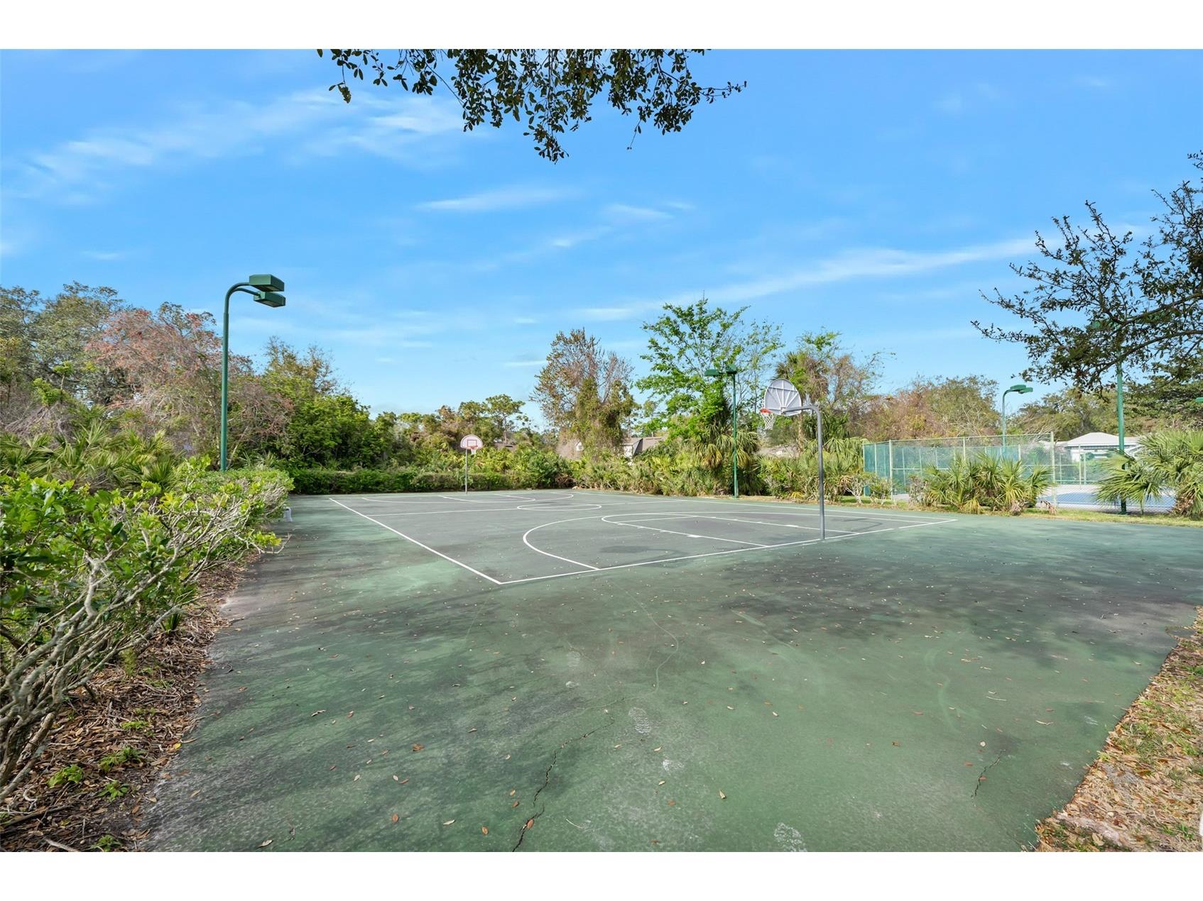 120 Black Hickory Way Ormond Beach FL 32174 V4948300 image64