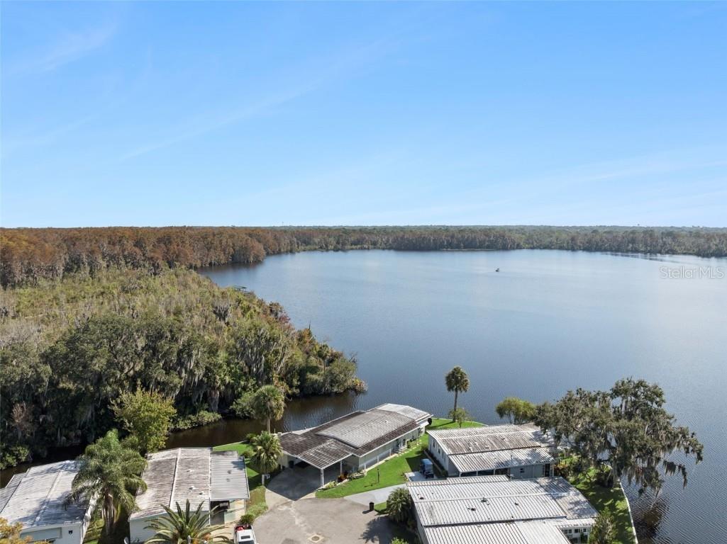 120 Breezy Point Eustis FL 32726 - Trout Lake O6363157 image38