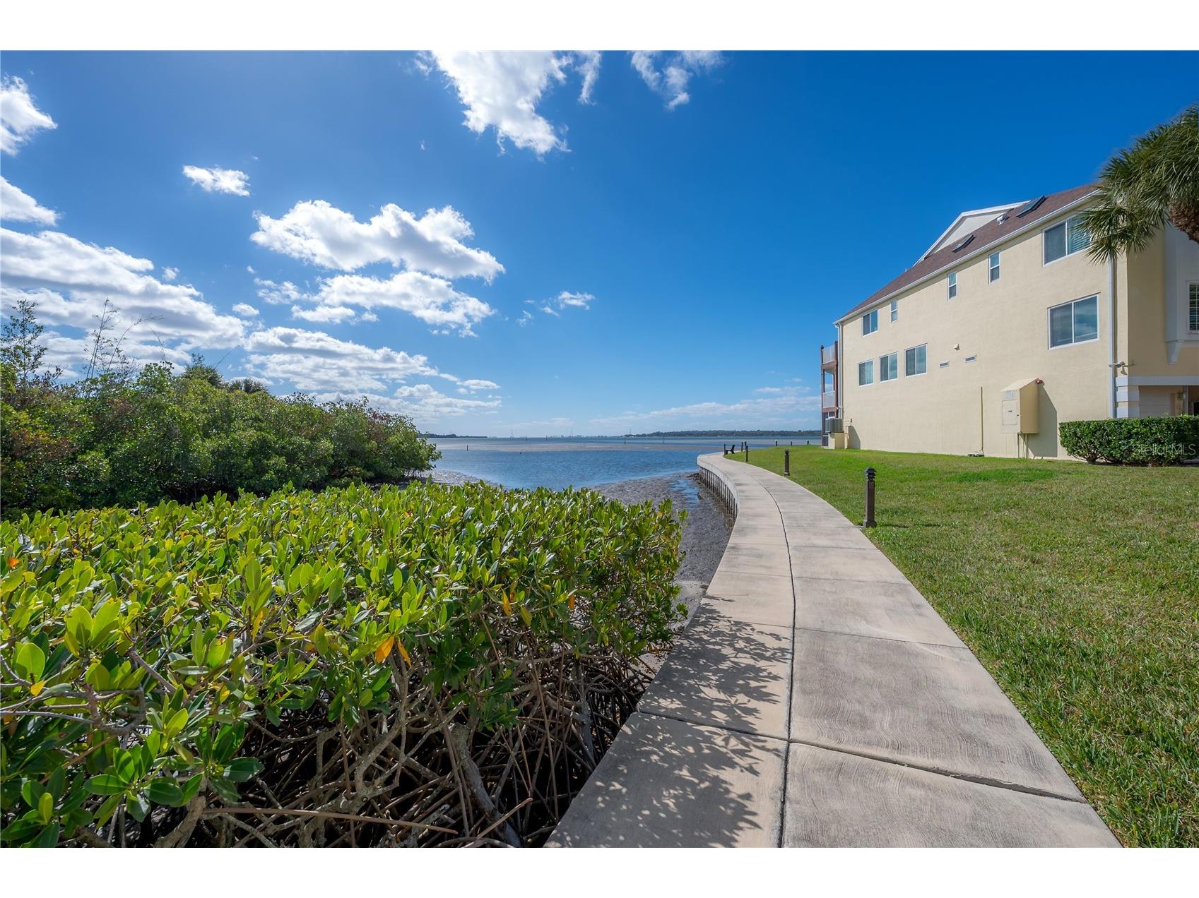 120 Brent Circle Oldsmar FL 34677 TB8484780 image47