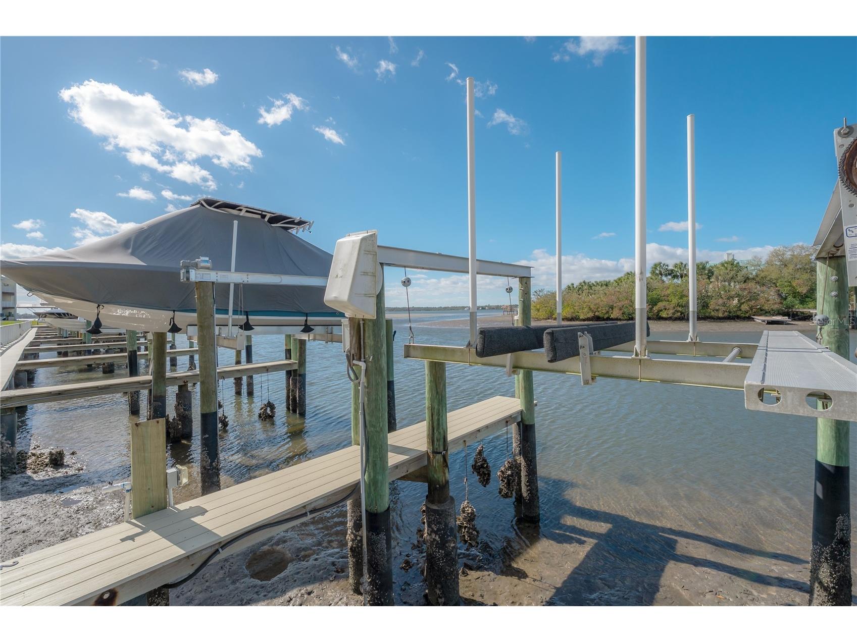 120 Brent Circle Oldsmar FL 34677 TB8484780 image49
