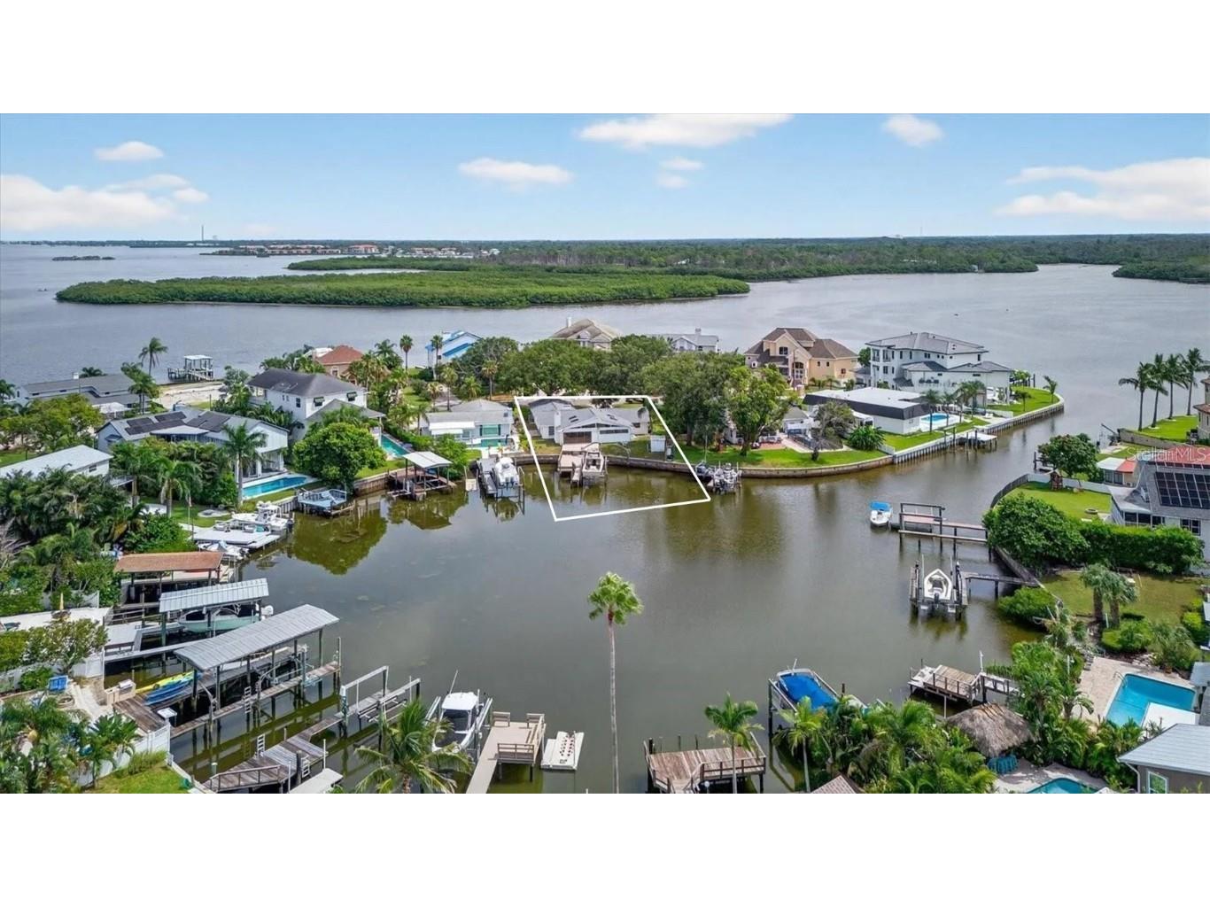 120 Carlyle Circle Palm Harbor FL 34683 TB8413795 image1