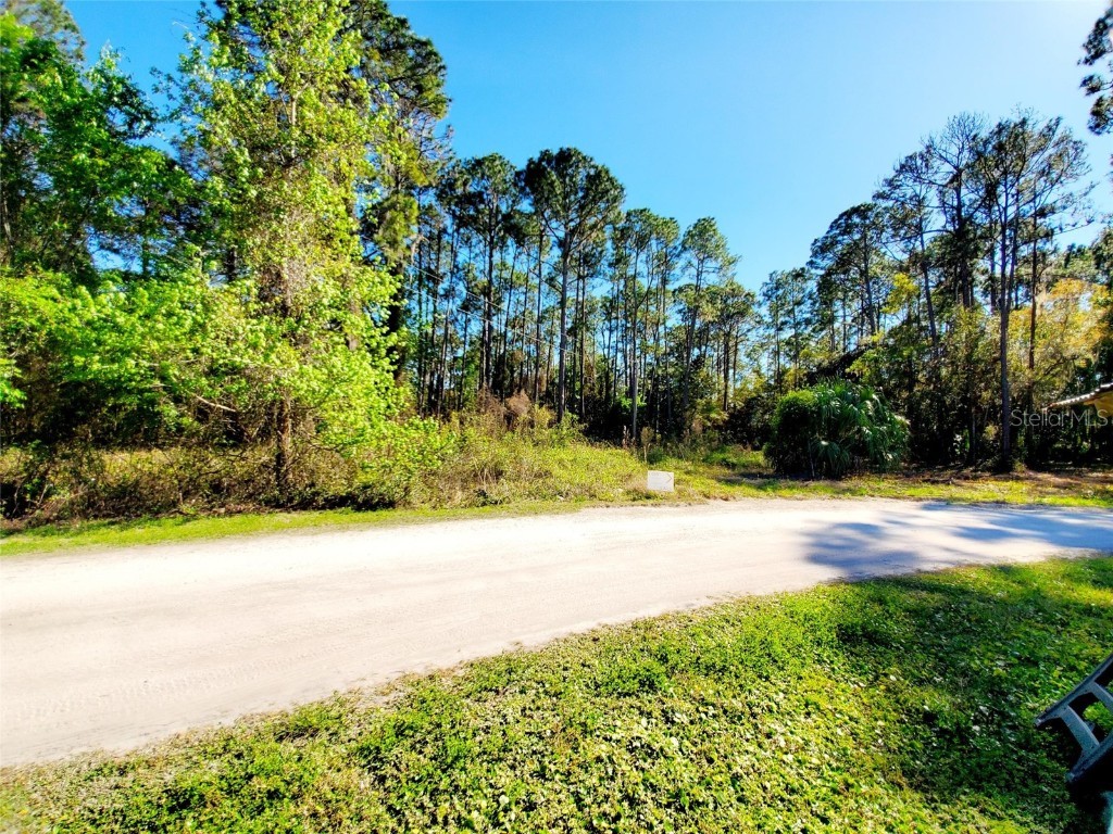 120 Carol Avenue Crescent City FL 32112 OM673271 image1