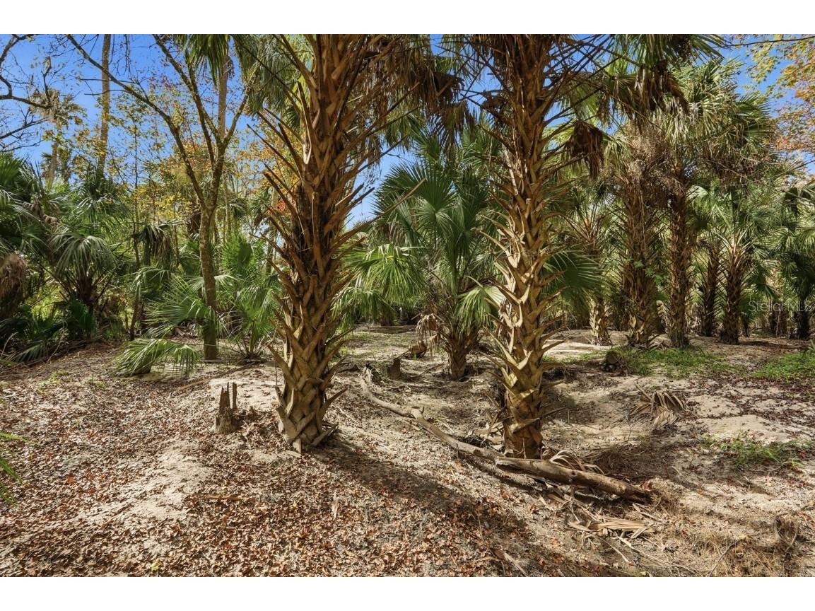 120 Creek Crossing Road Port Orange FL 32128 - Spruce Creek FC314842 image30