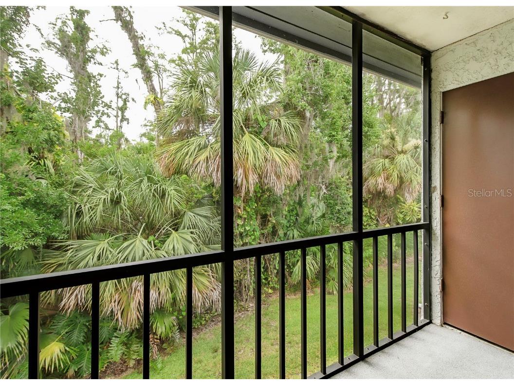 120 Cypress Lane #120 Oldsmar FL 34677 TB8447454 image16