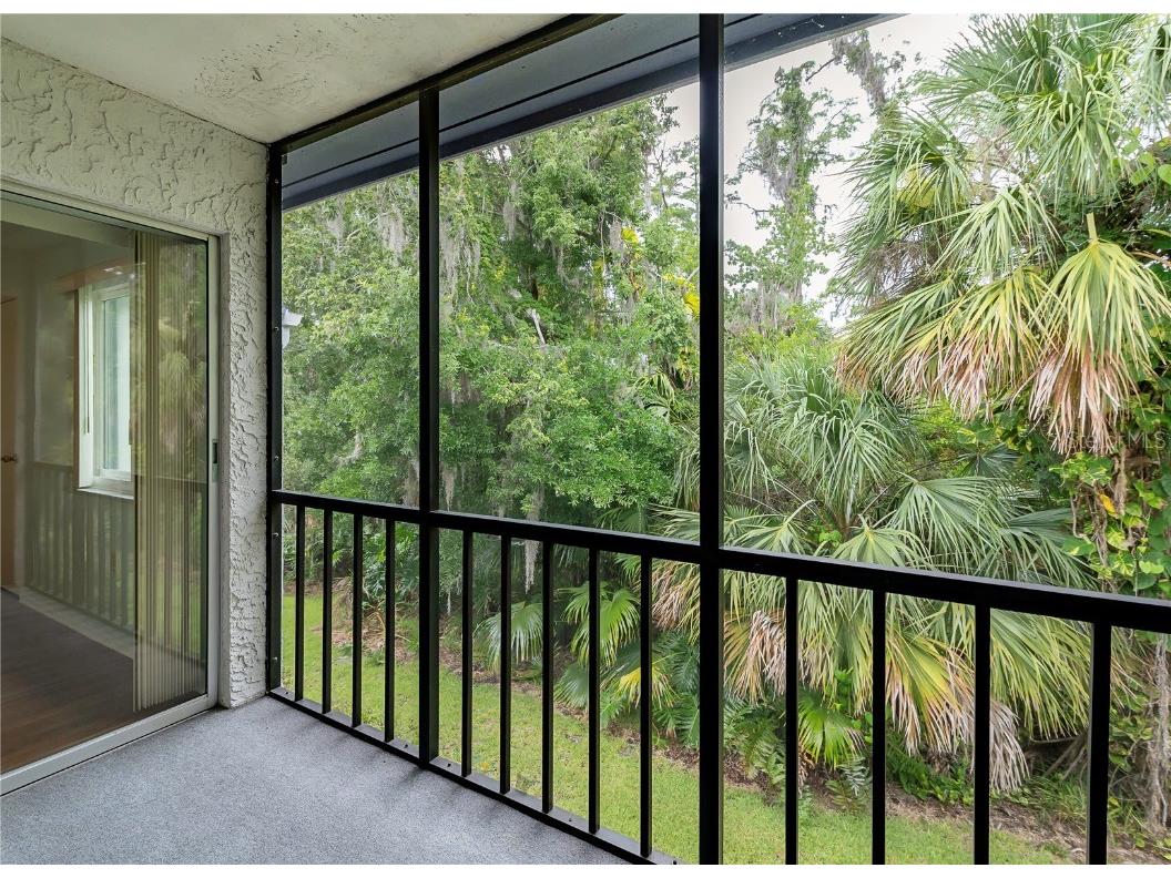 120 Cypress Lane #120 Oldsmar FL 34677 TB8447454 image17