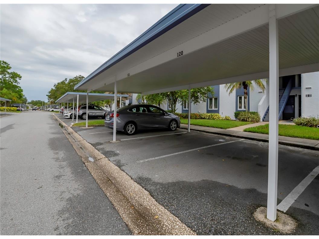 120 Cypress Lane #120 Oldsmar FL 34677 TB8447454 image29