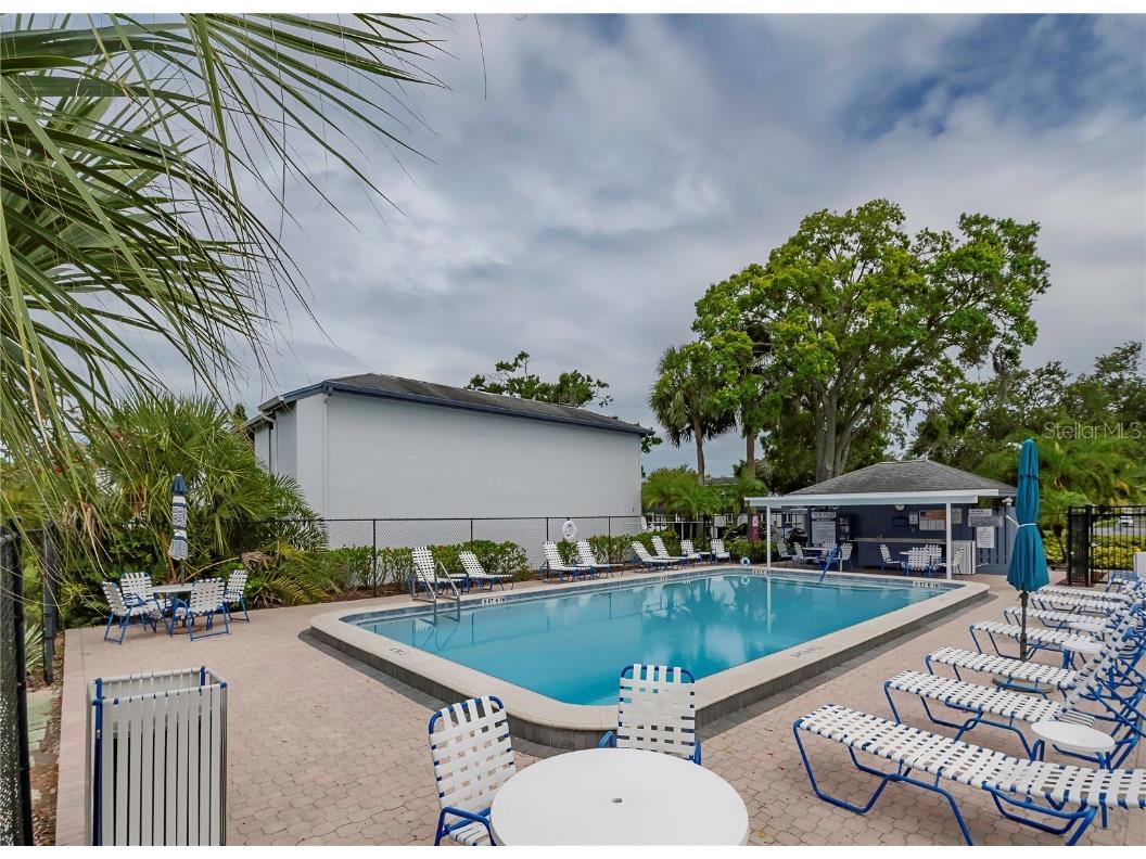 120 Cypress Lane #120 Oldsmar FL 34677 TB8447454 image31