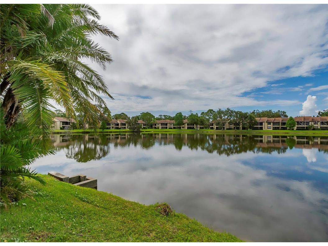 120 Cypress Lane #120 Oldsmar FL 34677 TB8447454 image32