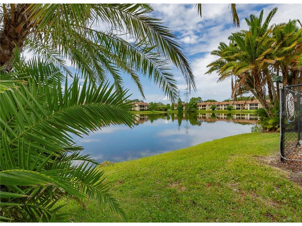 120 Cypress Lane #120 Oldsmar FL 34677 TB8447454 image33