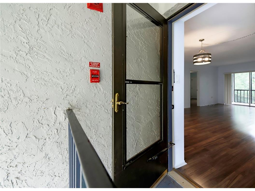 120 Cypress Lane #120 Oldsmar FL 34677 TB8447454 image4