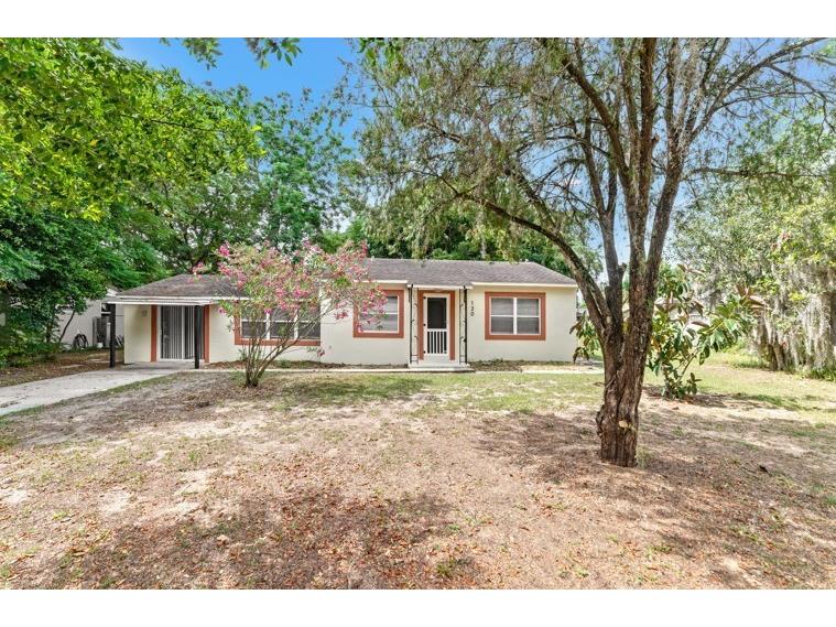 120 E Dicie Avenue Eustis FL 32726 T3524019 image1