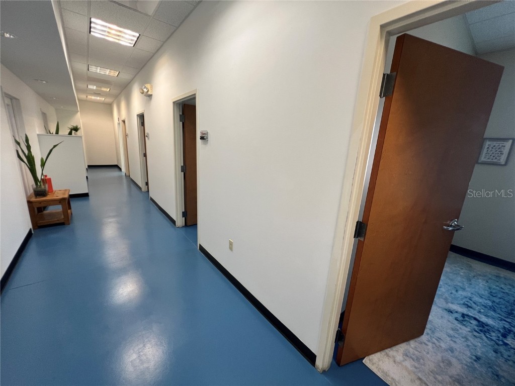 120 E Dr Martin Luther King Jr Boulevard #110 Tampa FL 33603 TB8356195 image11