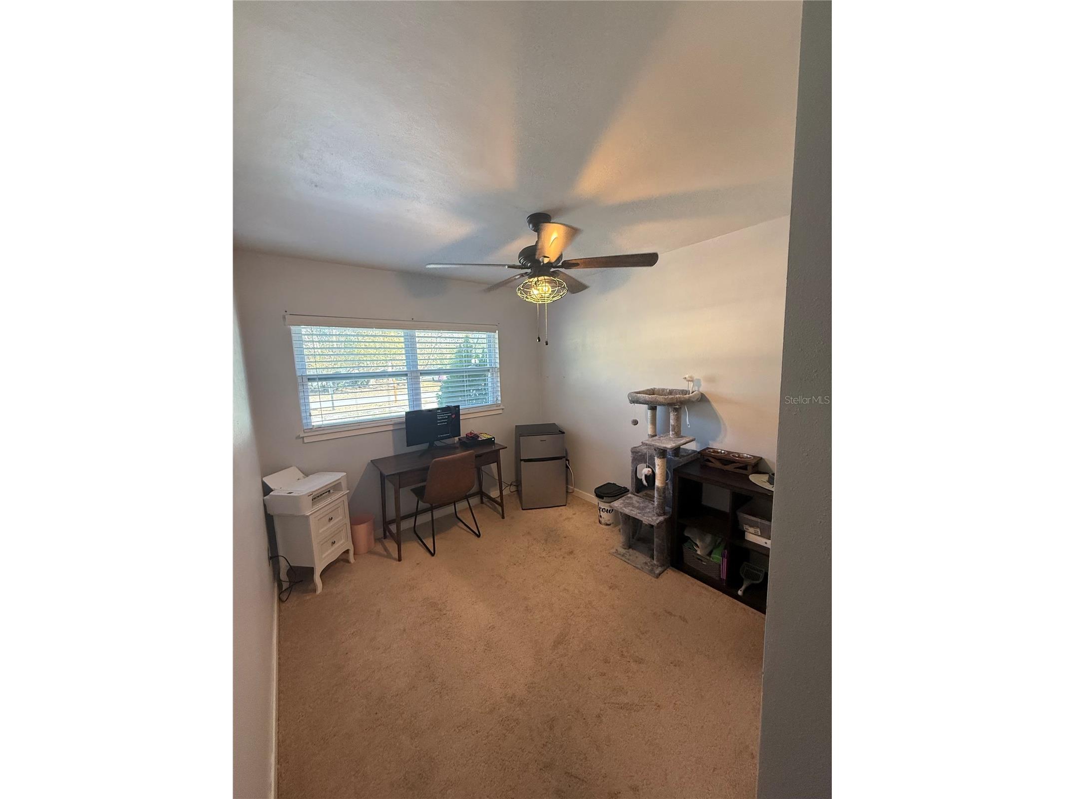 120 E Holly Drive Orange City FL 32763 V4946742 image24