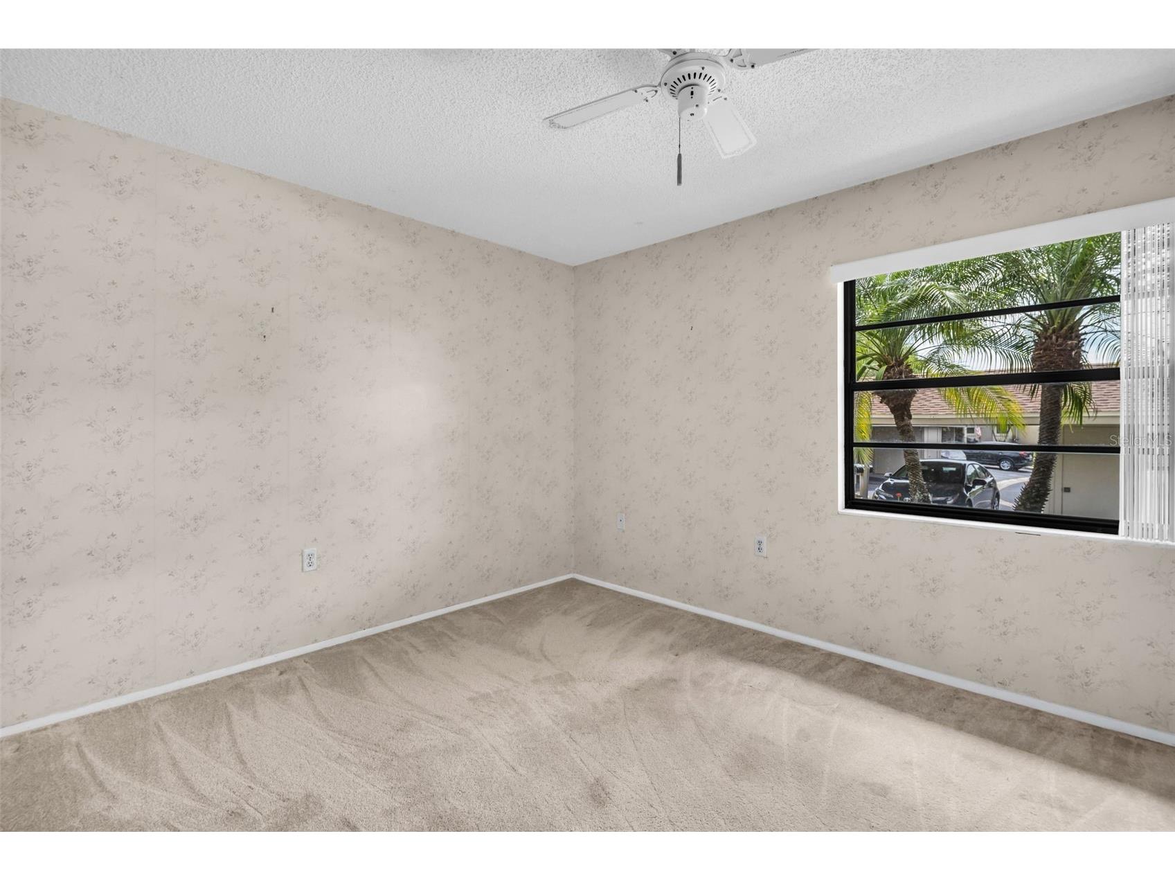 120 Evelyn Court Oldsmar FL 34677 TB8501596 image23