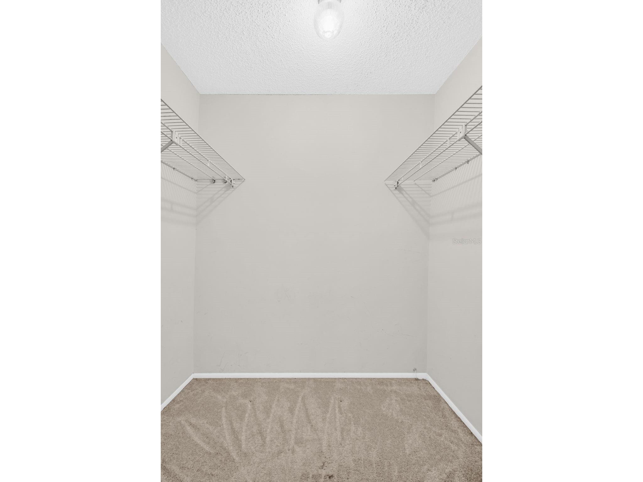 120 Evelyn Court Oldsmar FL 34677 TB8501596 image33