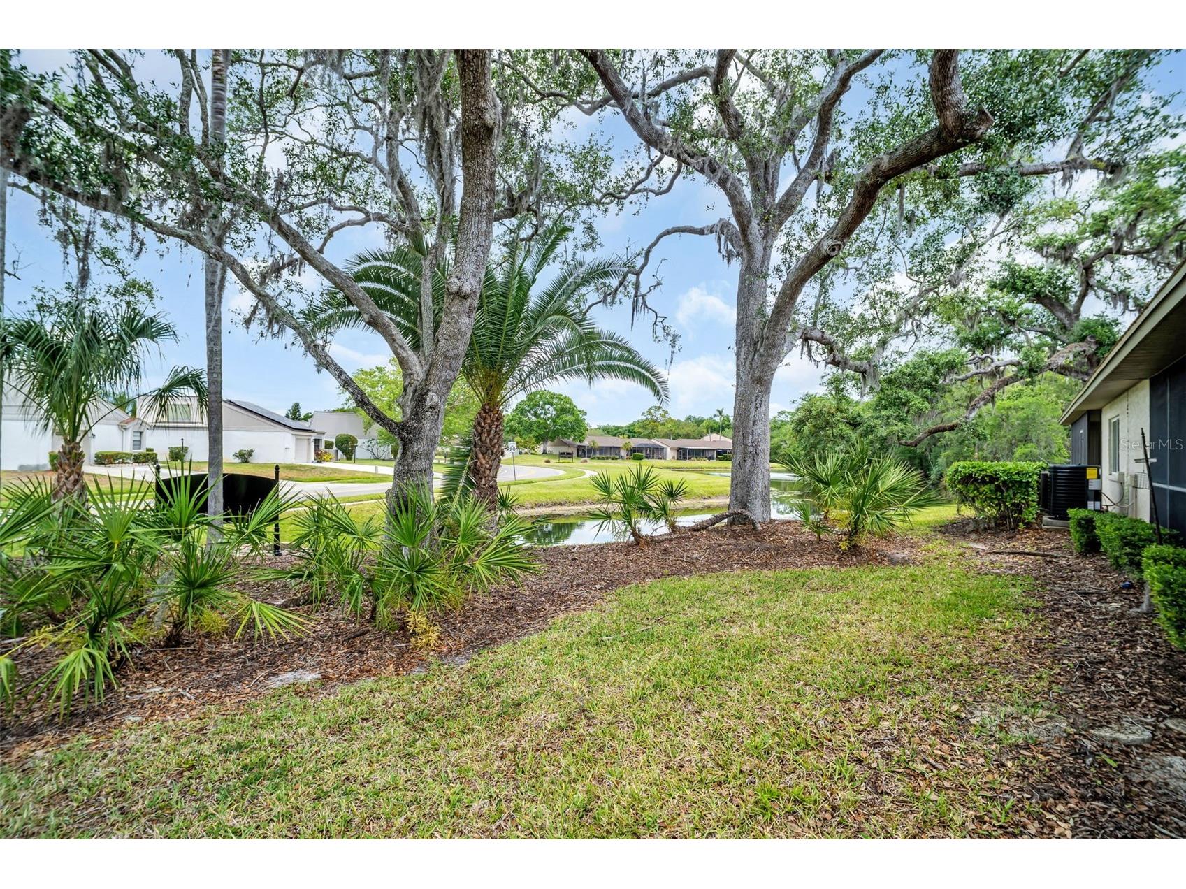 120 Evelyn Court Oldsmar FL 34677 TB8501596 image46