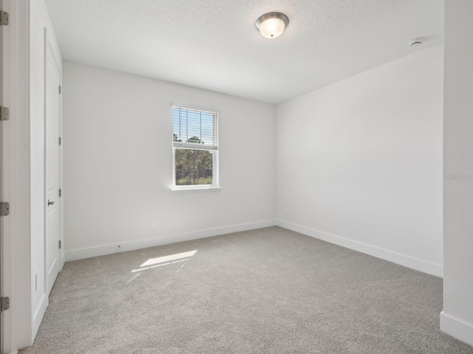 120 Foresthaven Street Ormond Beach FL 32174 TB8499598 image11