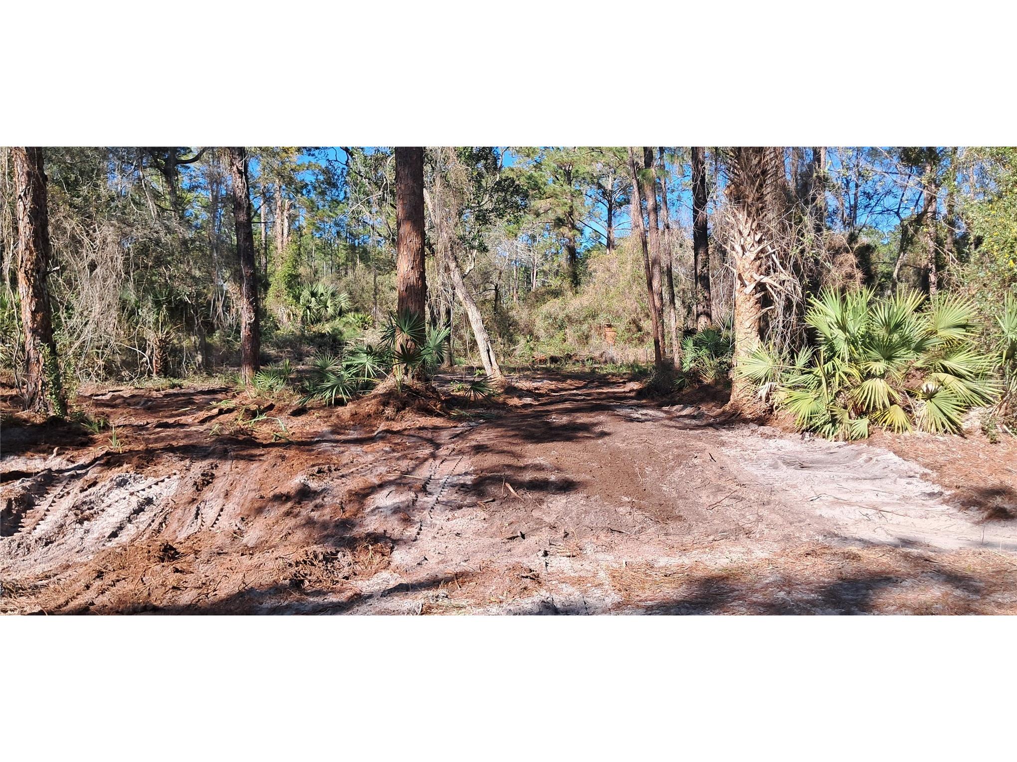 120 Gardenia Avenue Georgetown FL 32139 K4903413 image1