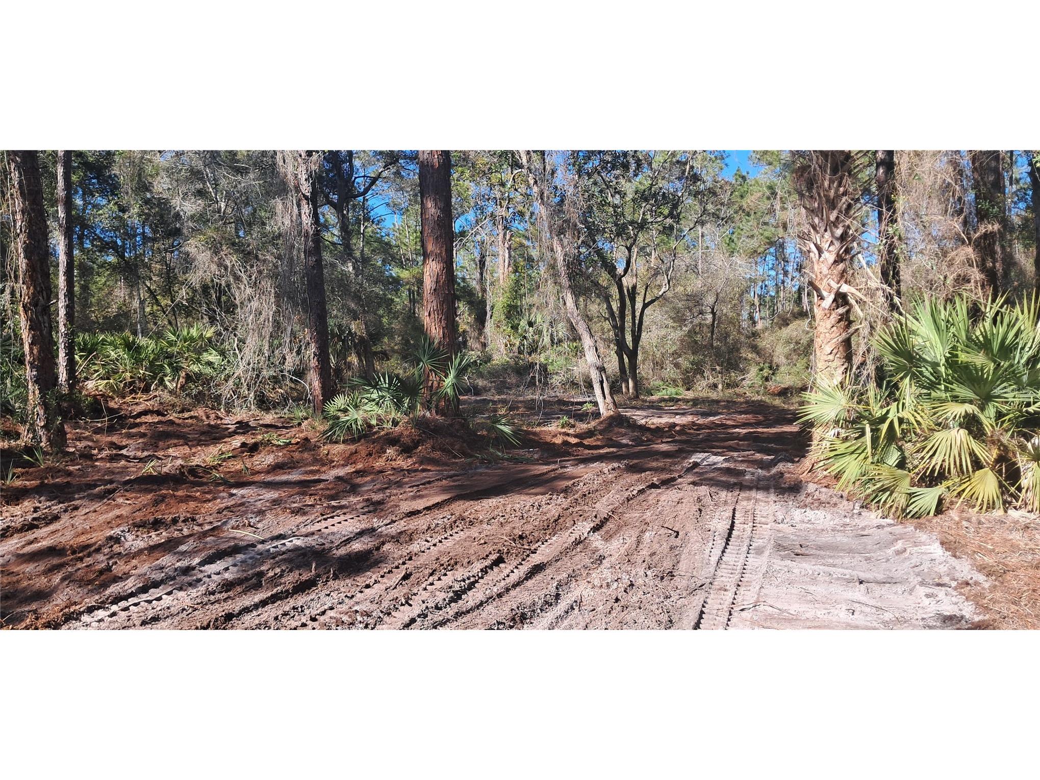 120 Gardenia Avenue Georgetown FL 32139 K4903413 image2