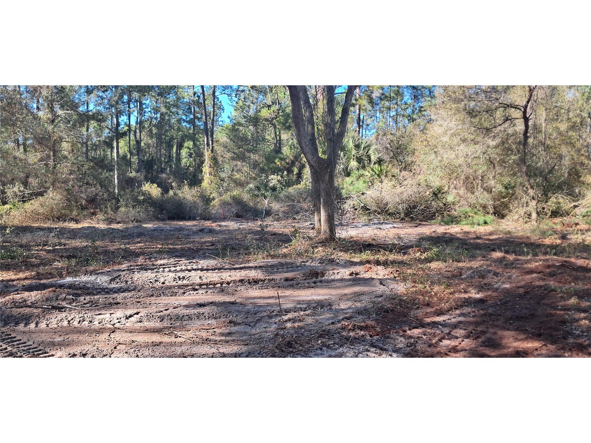 120 Gardenia Avenue Georgetown FL 32139 K4903413 image3