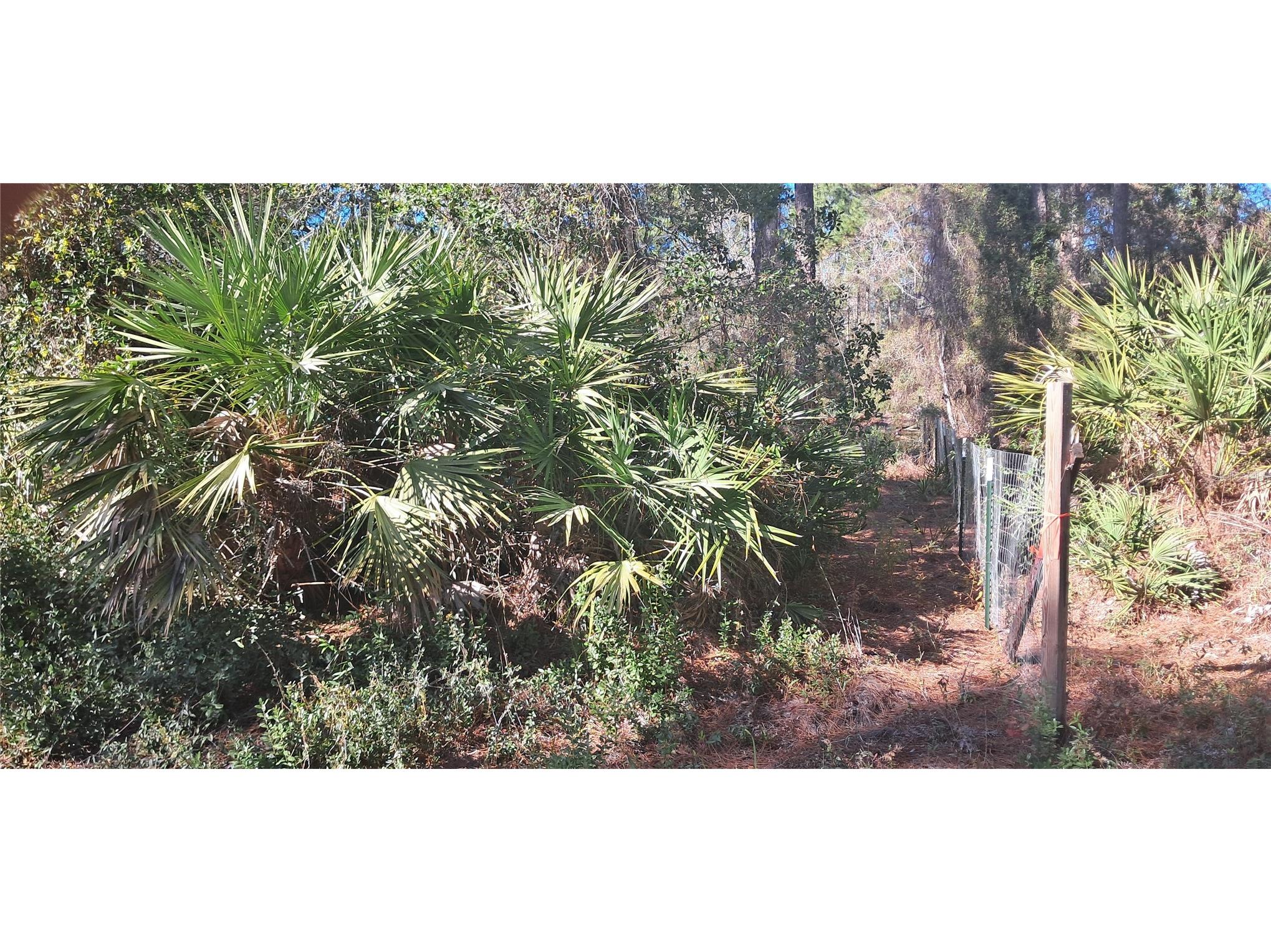 120 Gardenia Avenue Georgetown FL 32139 K4903413 image4