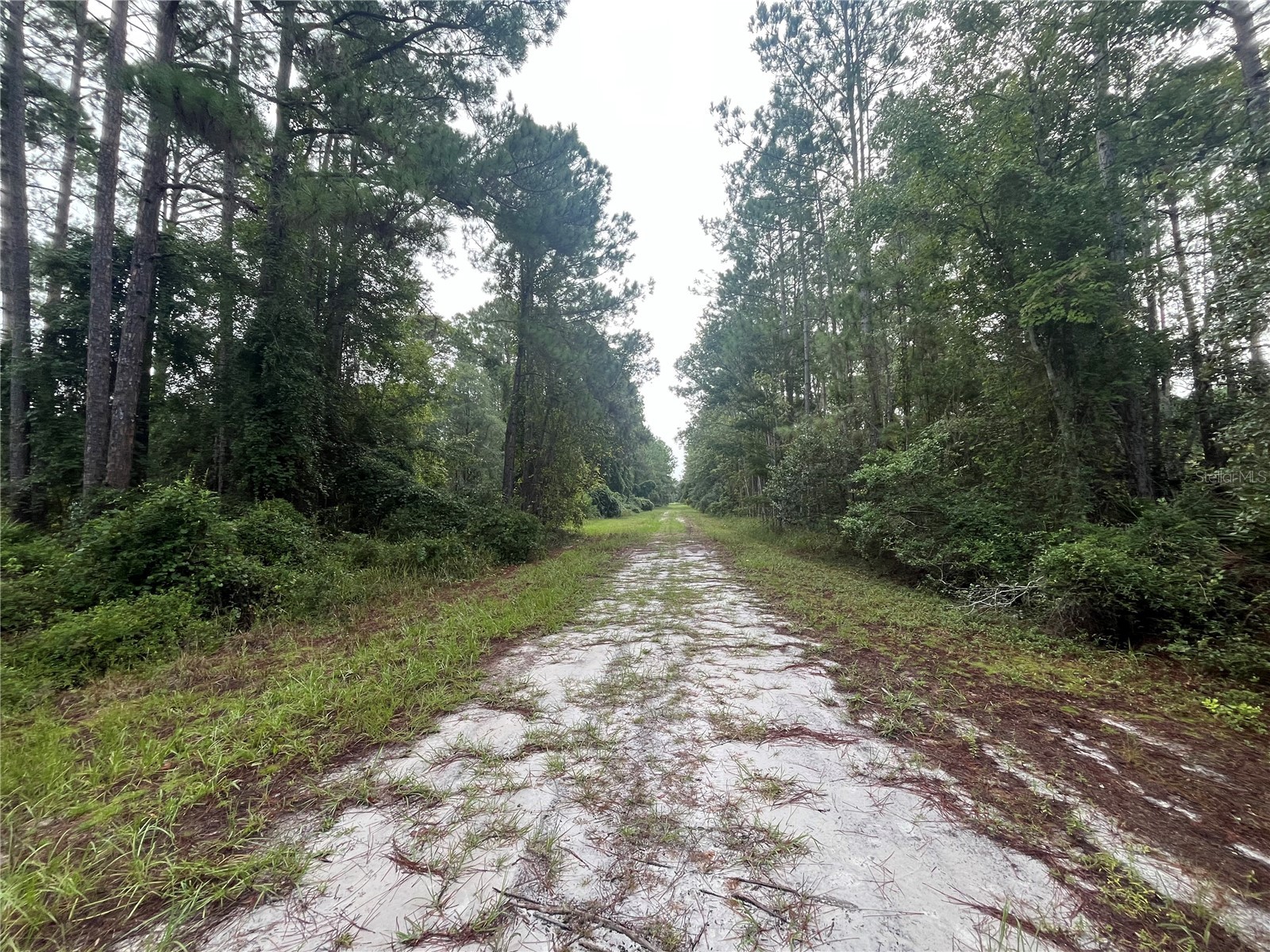 120 Gardenia Avenue Georgetown FL 32139 K4903413 image5