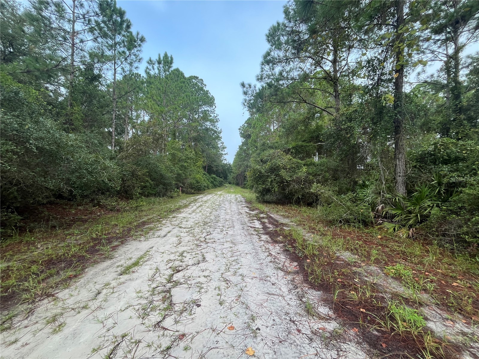 120 Gardenia Avenue Georgetown FL 32139 K4903413 image6