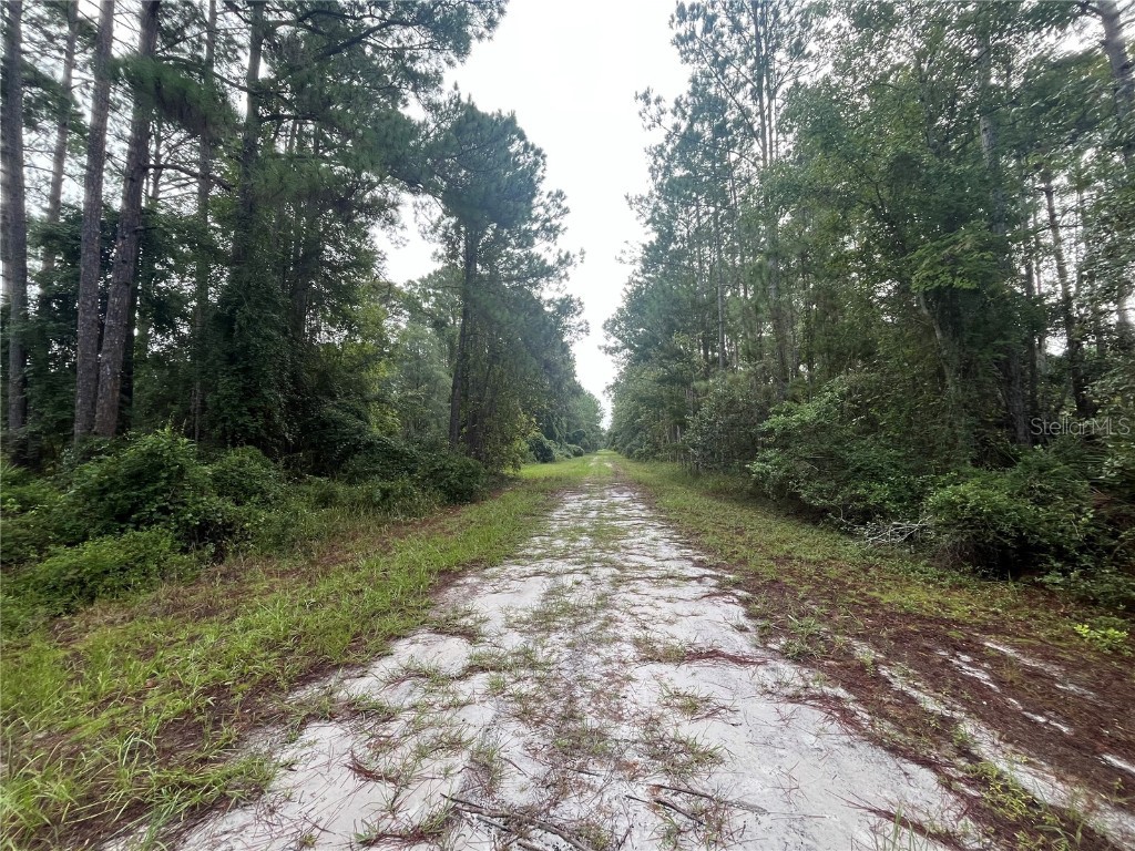 120 Gardenia Avenue Georgetown FL 32139 OK225492 image3