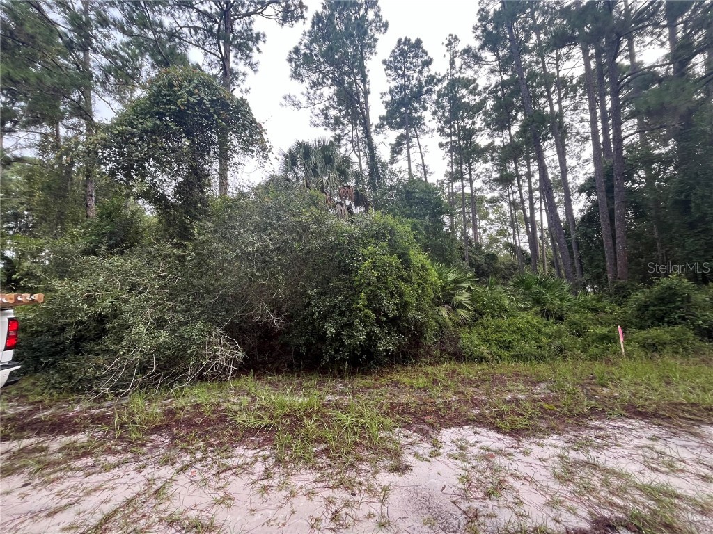 120 Gardenia Avenue Georgetown FL 32139 OK225492 image4