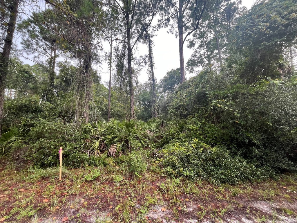 120 Gardenia Avenue Georgetown FL 32139 OK225492 image5