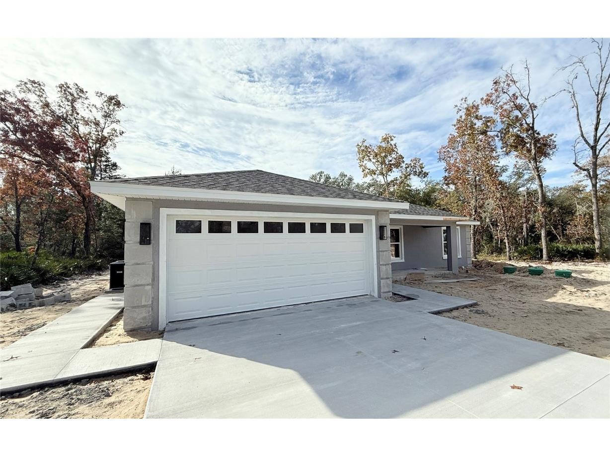 120 Guava Pass Ocklawaha FL 32179 OM715225 image1