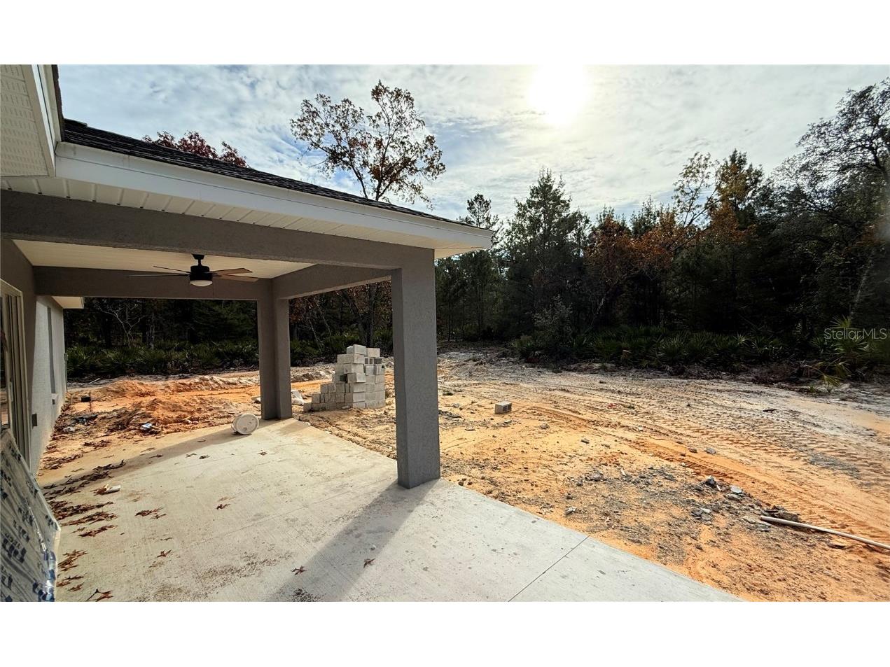 120 Guava Pass Ocklawaha FL 32179 OM715225 image13