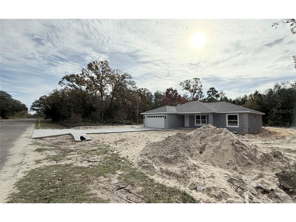 120 Guava Pass Ocklawaha FL 32179 OM715225 image15