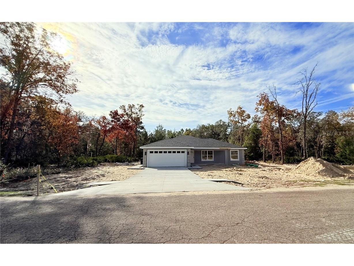 120 Guava Pass Ocklawaha FL 32179 OM715225 image16