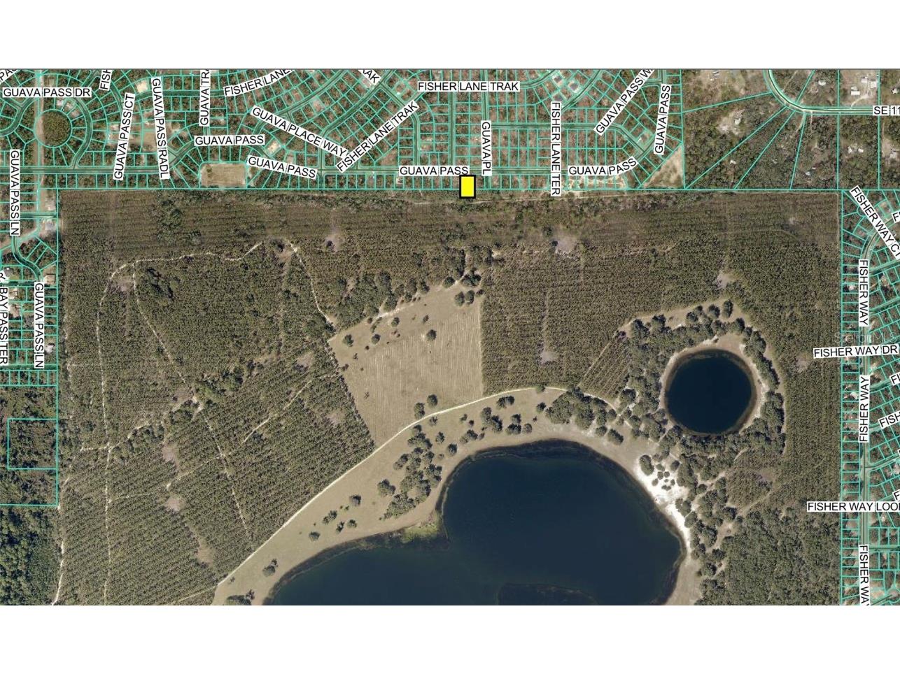 120 Guava Pass Ocklawaha FL 32179 OM715225 image17