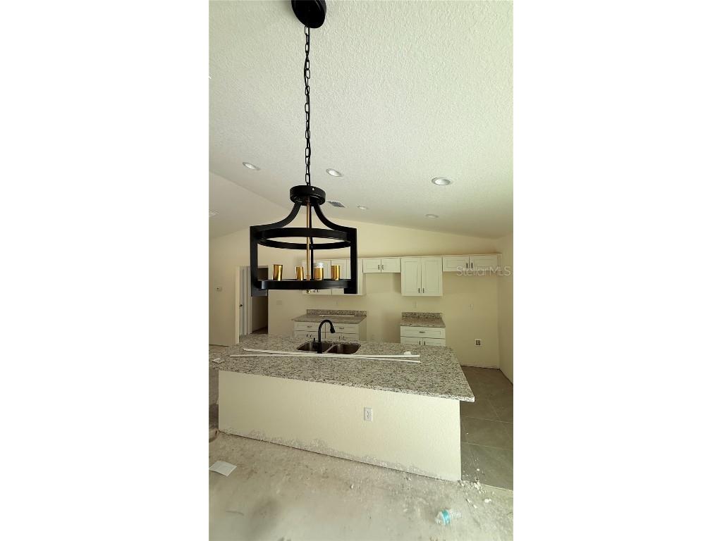 120 Guava Pass Ocklawaha FL 32179 OM715225 image5