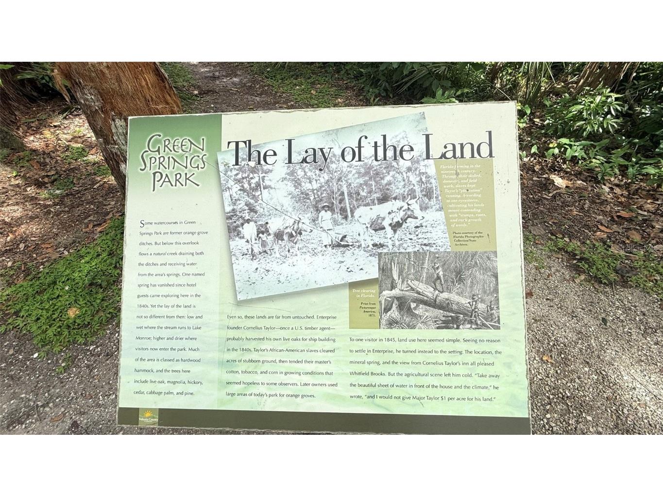 120 Hibiscus Woods Court #1D Deltona FL 32725 V4944850 image29