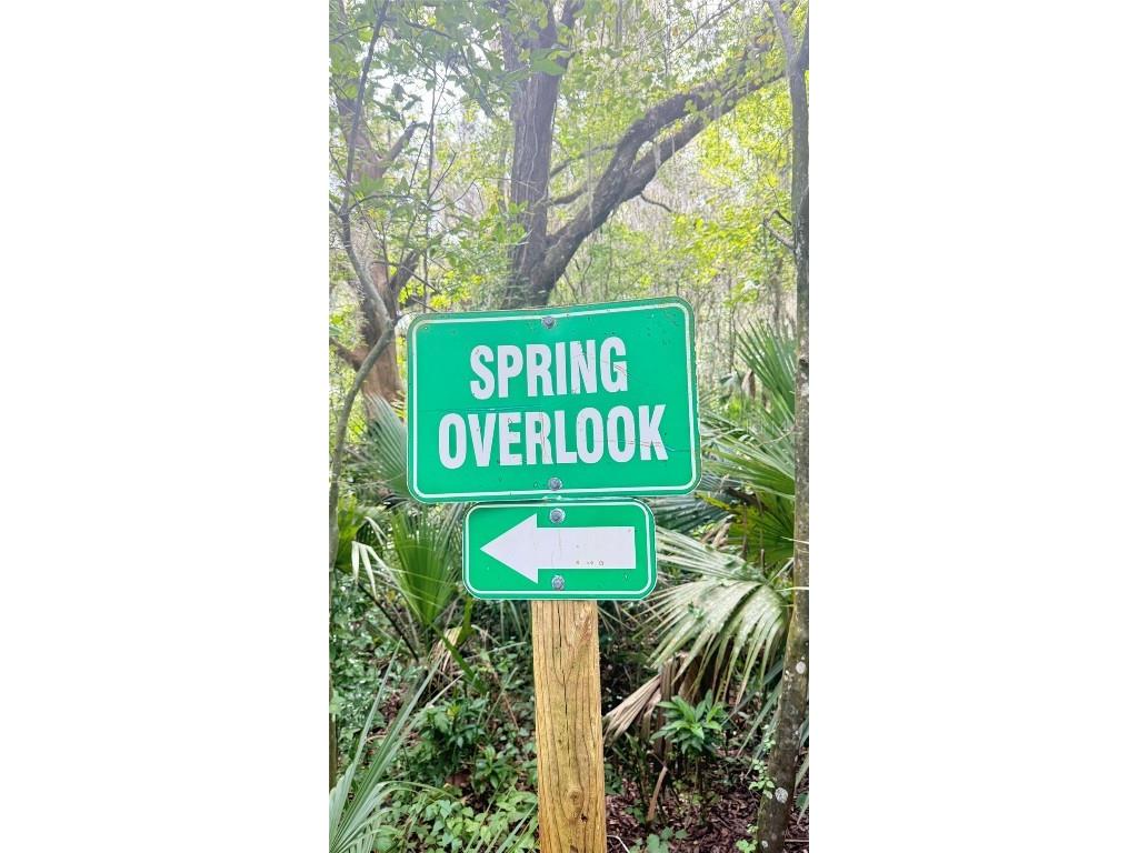 120 Hibiscus Woods Court #1D Deltona FL 32725 V4944850 image30