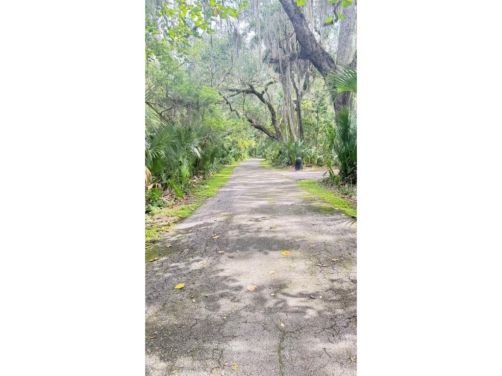 120 Hibiscus Woods Court #1D Deltona FL 32725 V4944850 image31