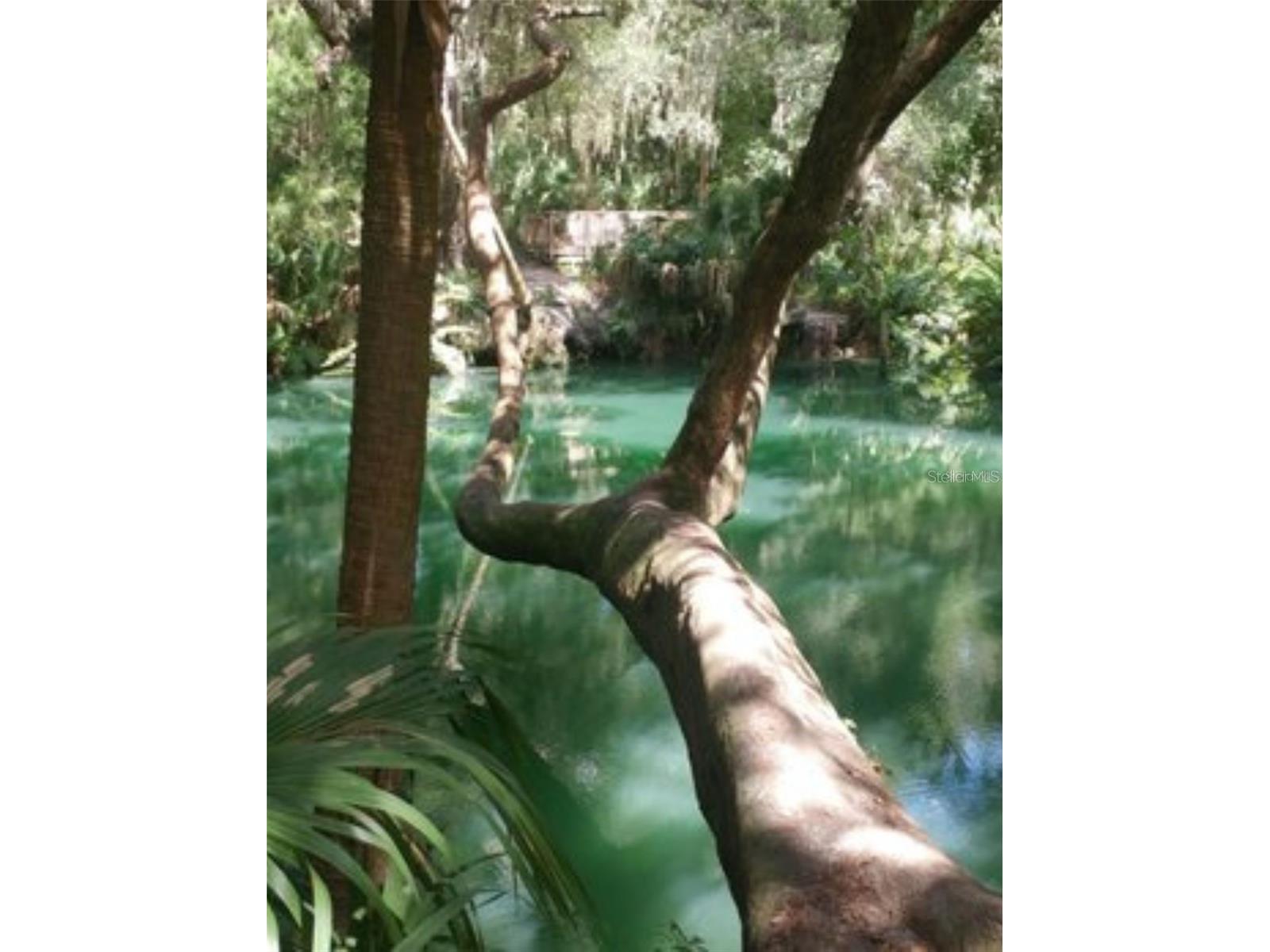120 Hibiscus Woods Court #4B Deltona FL 32725 O6387419 image3