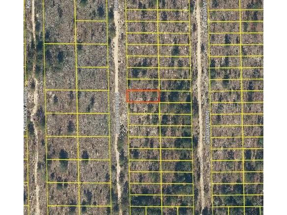 120 Kansas Avenue Hawthorne FL 32640 O6278005 image1