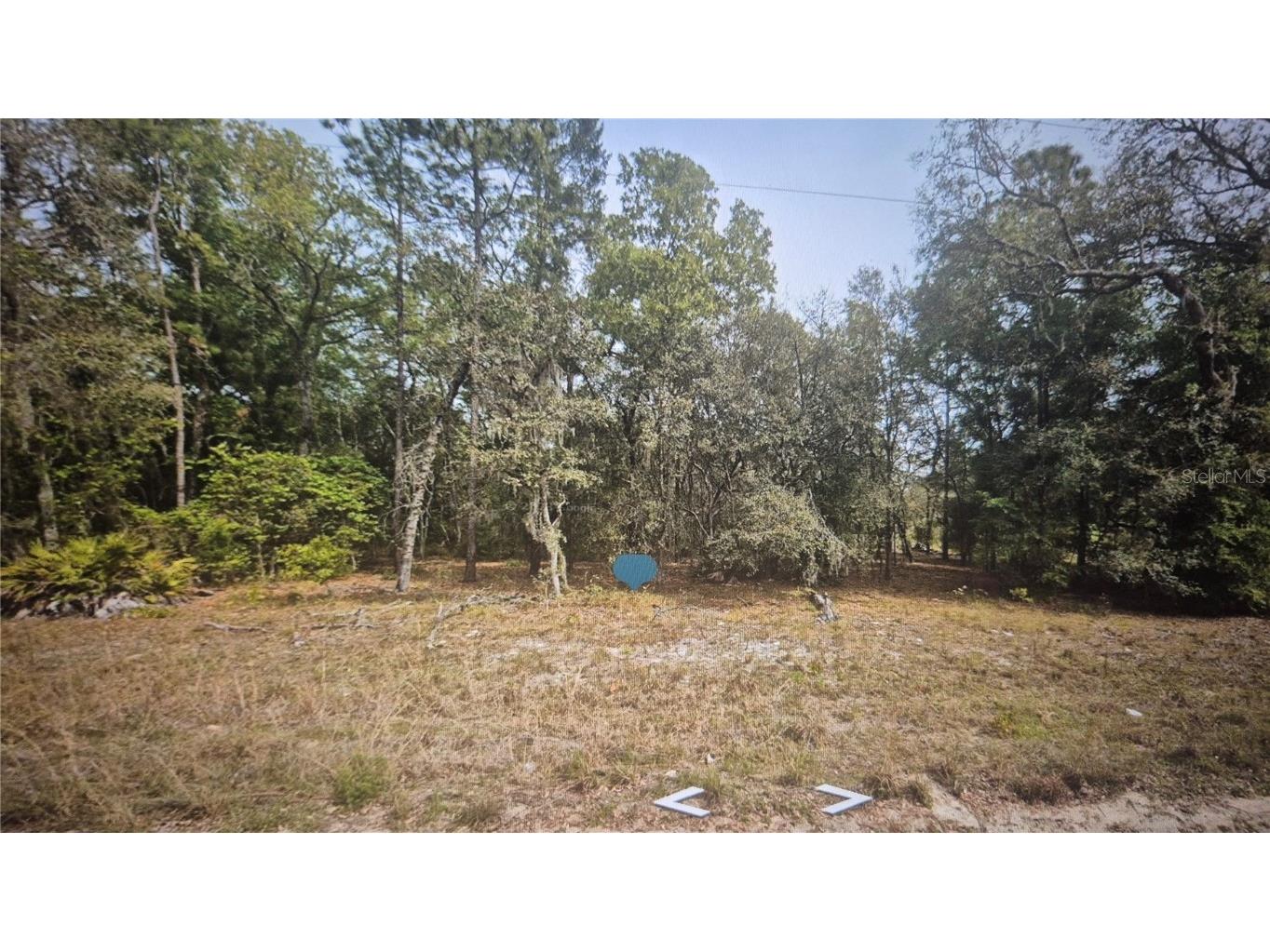 120 Lancaster Street Interlachen FL 32148 O6349835 image1