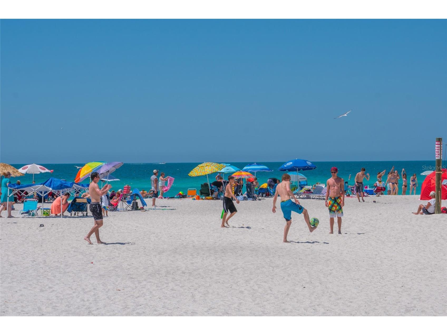 120 Maple Avenue Anna Maria FL 34216 A4680151 image32