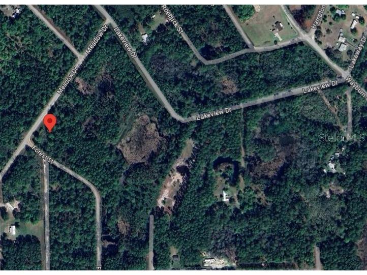 120 Meadow Drive Georgetown FL 32139 OM682854 image1