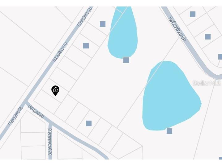 120 Meadow Drive Georgetown FL 32139 OM682854 image2