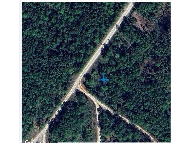 120 Meadow Drive Georgetown FL 32139 OM682854 image4