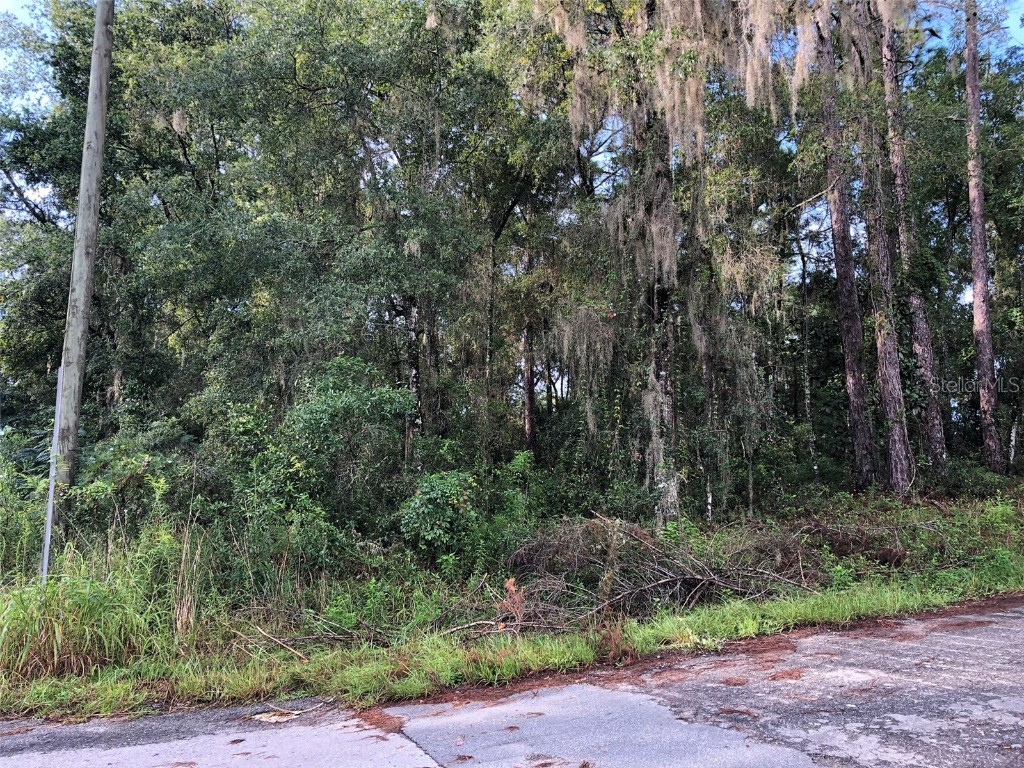 120 N Savary Avenue Inverness FL 34453 T3400080 image1