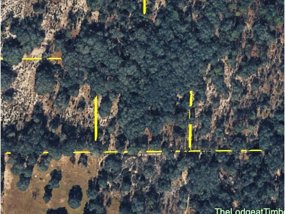 120 NE Sr24 Avenue NE Archer FL 32618 S5148578 image4