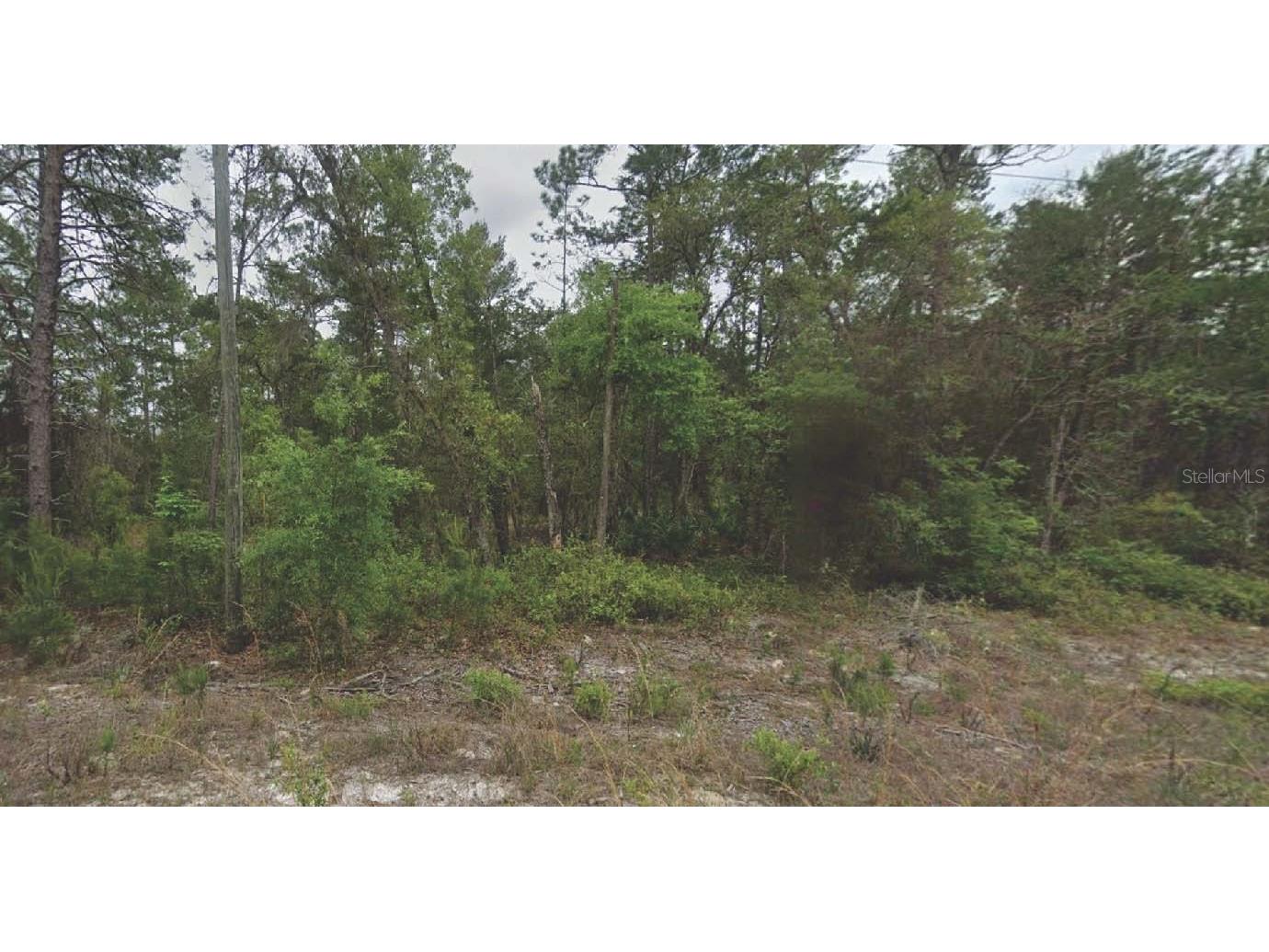 120 New York Avenue Satsuma FL 32189 OM715767 image1